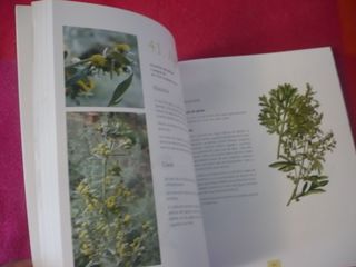 PLANTAS MEDICINALES LA SALUD ESTA EN LA NATURALEZA