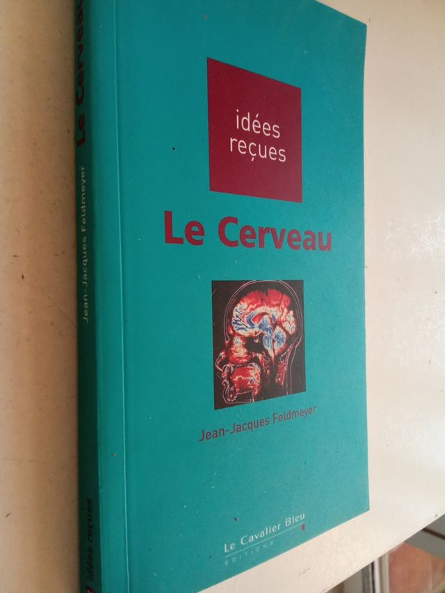Le cerveau: idées reçues sur le cerveau