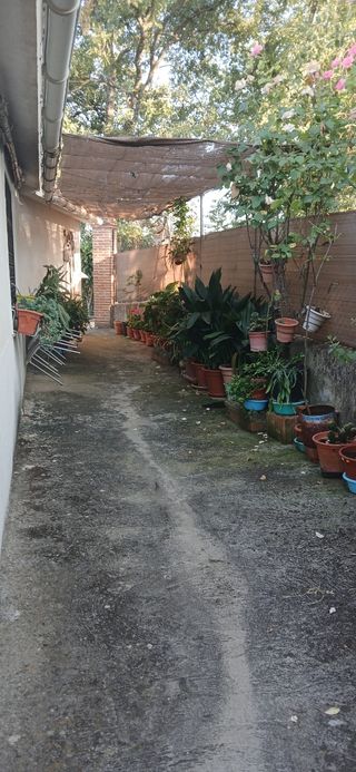 Parcela con jardín en Candeleda