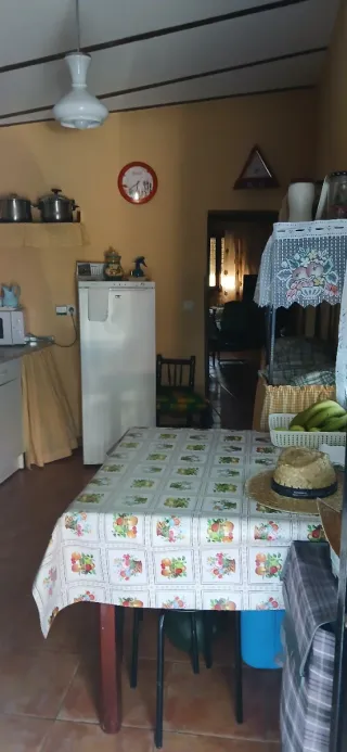 Parcela con jardín en Candeleda