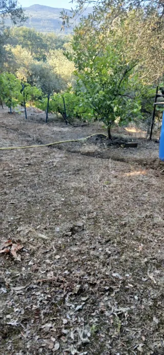 Parcela con jardín en Candeleda