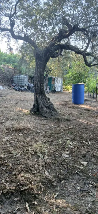 Parcela con jardín en Candeleda
