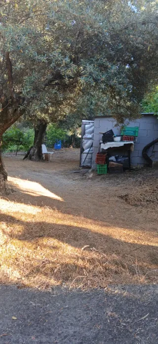 Parcela con jardín en Candeleda