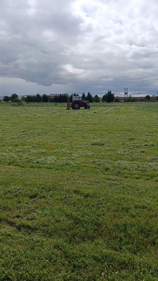 Empacas alfalfa 1r corte