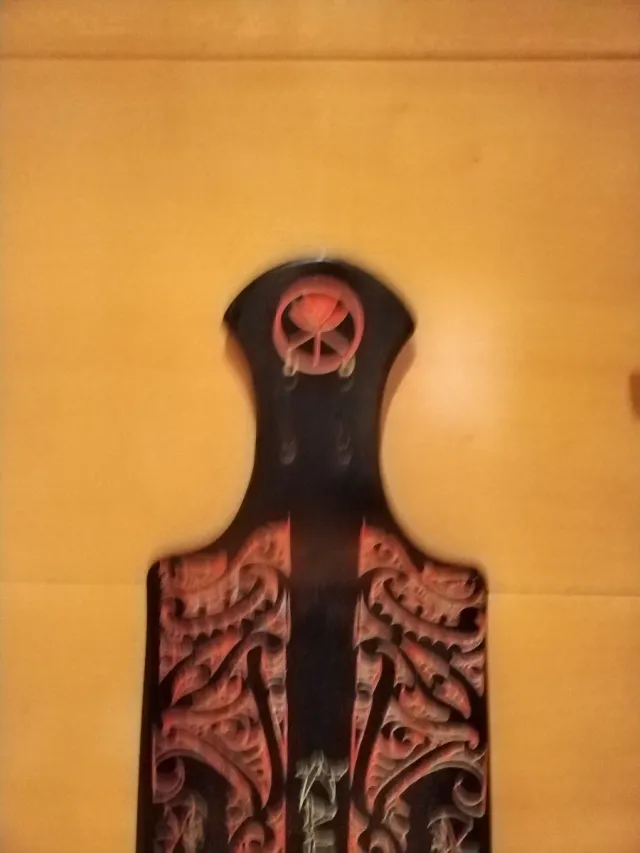 Longboard & Land Padel.