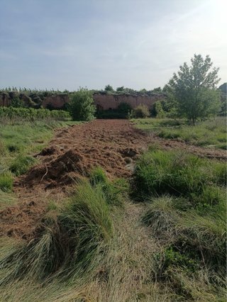 Terreno Riego - 3.065 m2