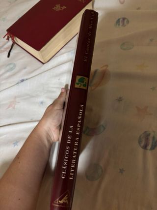 El cantar de Mío Cid