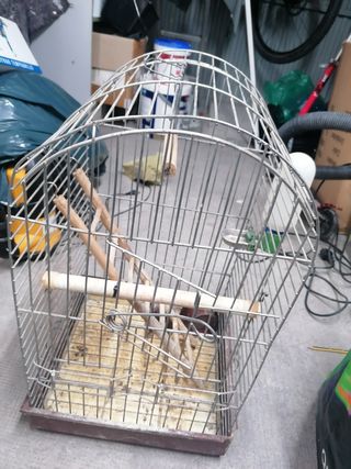 Jaula pajaros metalica