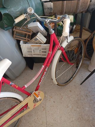 Gran lote tirado de precio