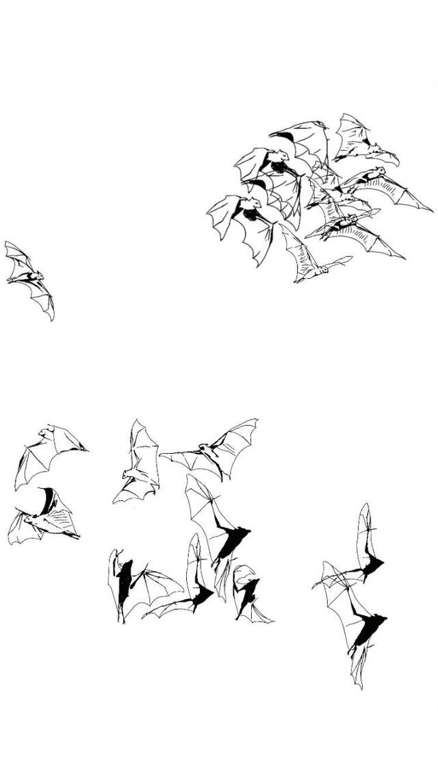 Tattoo Tatuajes estilo en Valencia tatuador 🇦🇷