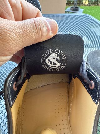 Scarpe Clarks Desert Boot in Suede verde