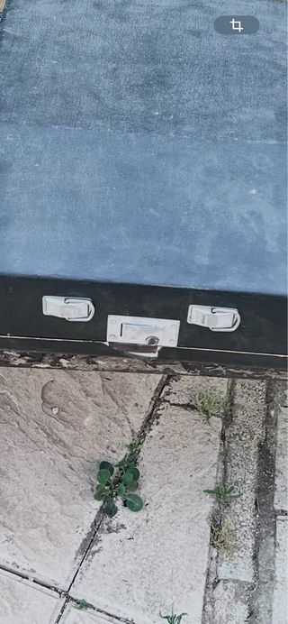 Máquina escribir Olivetti Studio 46 ultima oferta