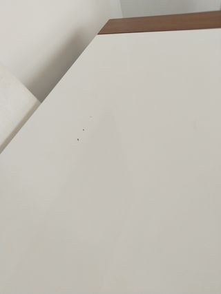 Mesa comedor extensible blanca y madera