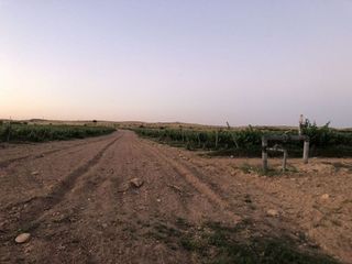Terreno en venta en Tobarra