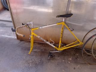 Bicicletta da corsa Campagnolo