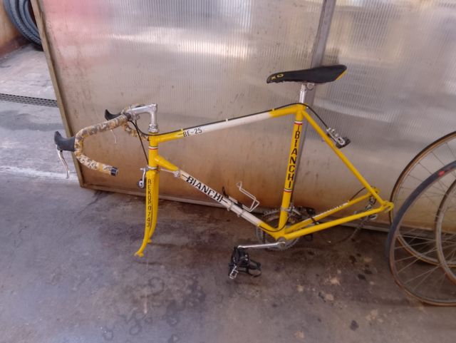 Bicicletta da corsa Campagnolo