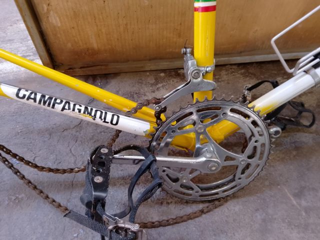Bicicletta da corsa Campagnolo