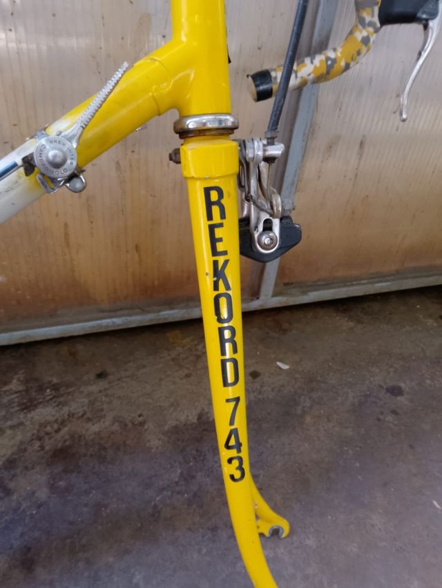 Bicicletta da corsa Campagnolo