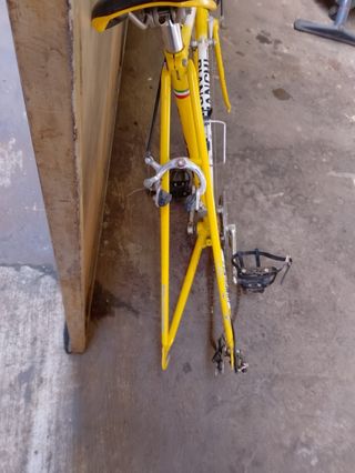Bicicletta da corsa Campagnolo