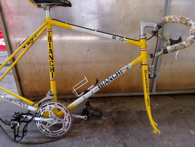 Bicicletta da corsa Campagnolo