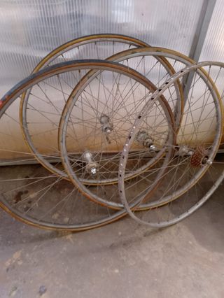 Bicicletta da corsa Campagnolo