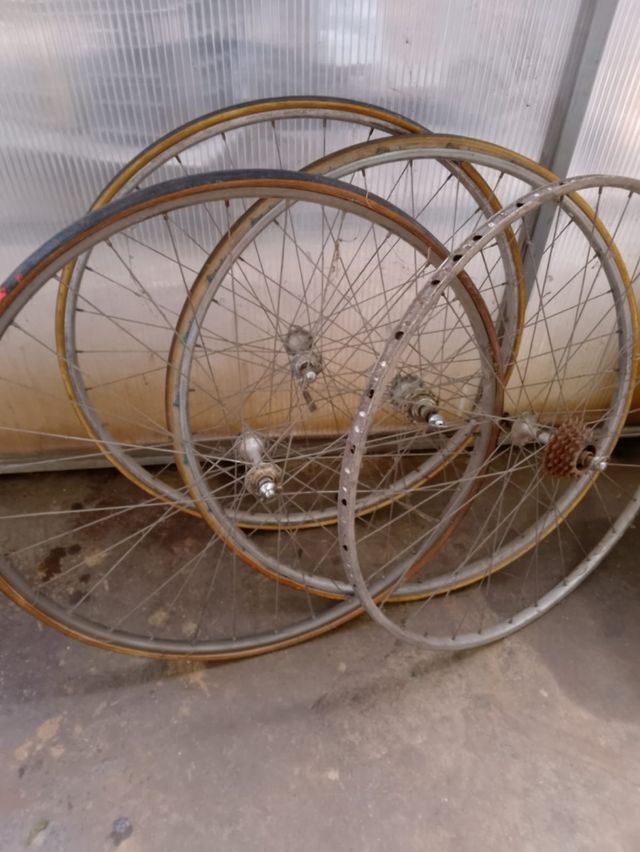 Bicicletta da corsa Campagnolo