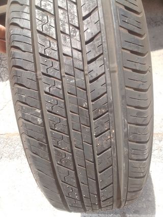 Neumático Dunlop Grandtek ST30
225/60R18 100H M+S