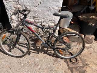 Bici