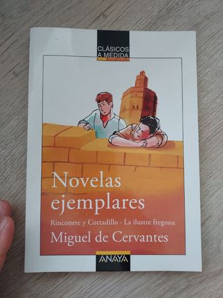 Novelas ejemplares: Rinconete y Cortadillo/La i...