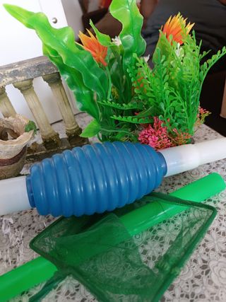 Decoración pecera: ruinas y plantas