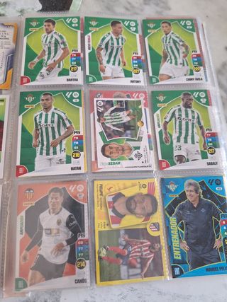 Cromos Panini 2024-25