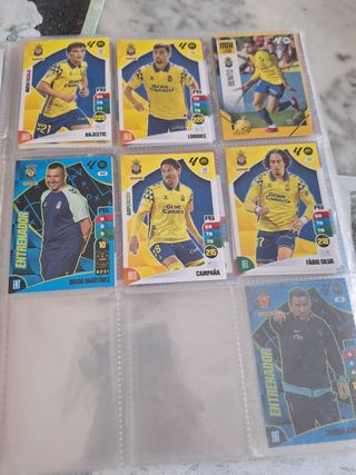 Cromos Panini 2024-25