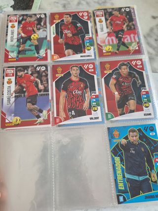 Cromos Panini 2024-25