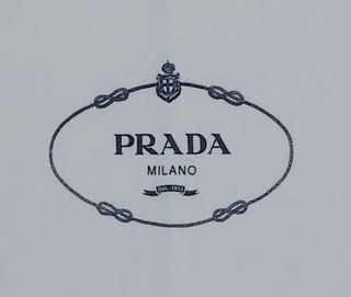 ✨️Prada conjunto 2 fundas guardapolvo 
