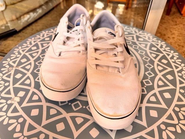 Zapatillas Nike SB blancas