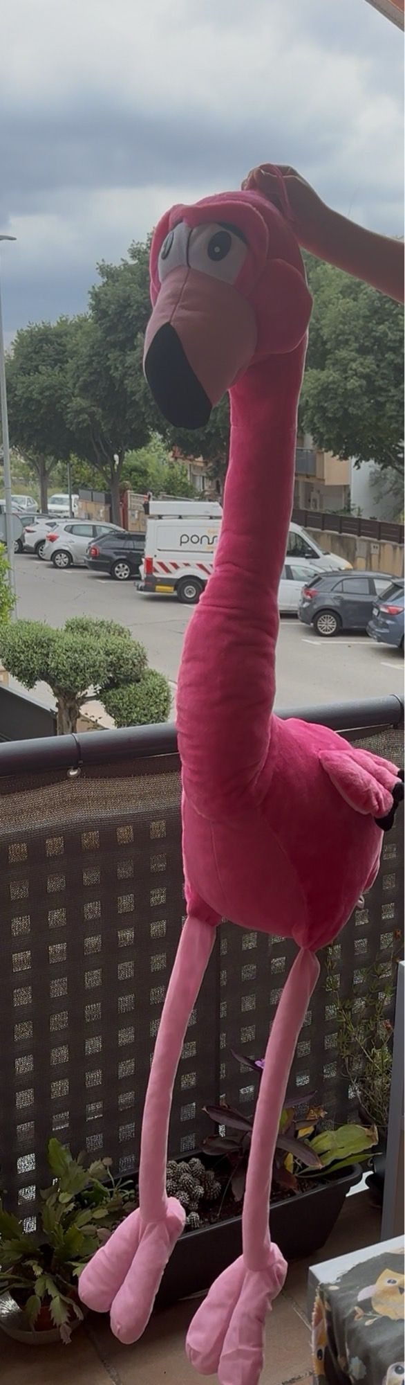 Flamingo gigante rosa