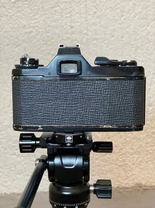 Pentax Cámara analógica no funciona