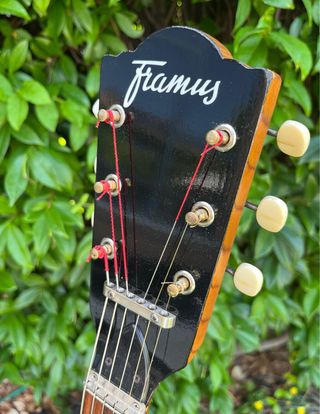 Framus Riviera 5/54 Guitarra Archtop