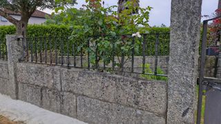 Portal y vallas de hierro forjado
