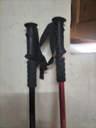 Bastones Senderismo - 2 Unidades