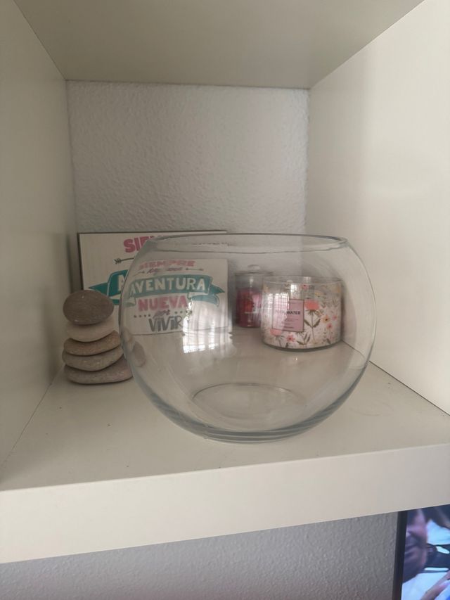 Terrario de cristal redondo