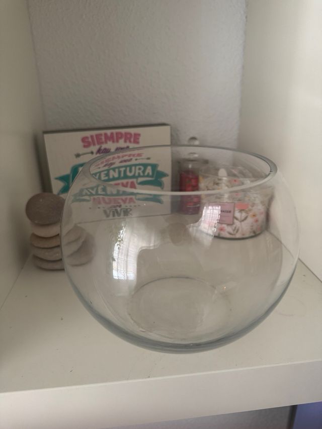 Terrario de cristal redondo