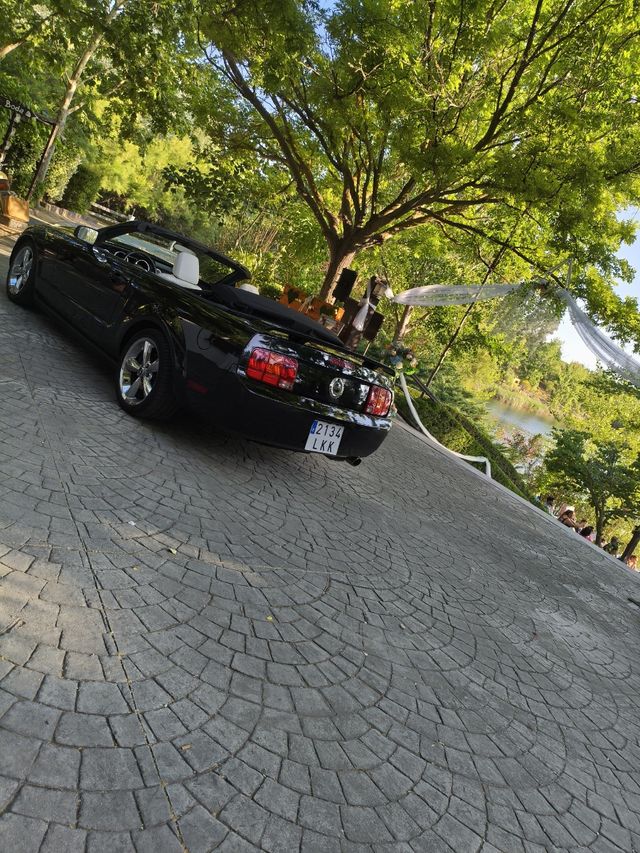 Mustang Clásico Bodas y Eventos