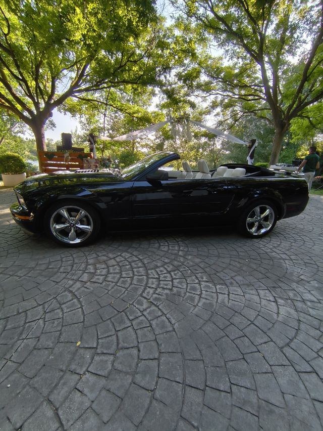 Mustang Clásico Bodas y Eventos