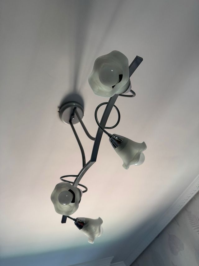 Lámpara techo 4 luces - Moderna