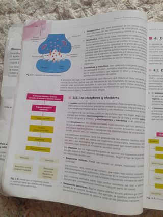 Psicología 2  Bachillerato