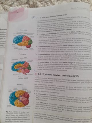 Psicología 2  Bachillerato