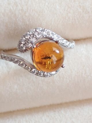 Anillo ámbar con mosquito 8mm

