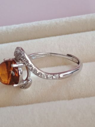 Anillo ámbar con mosquito 8mm
