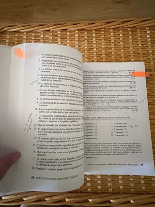 Derechos Humanos, educación y sociedad